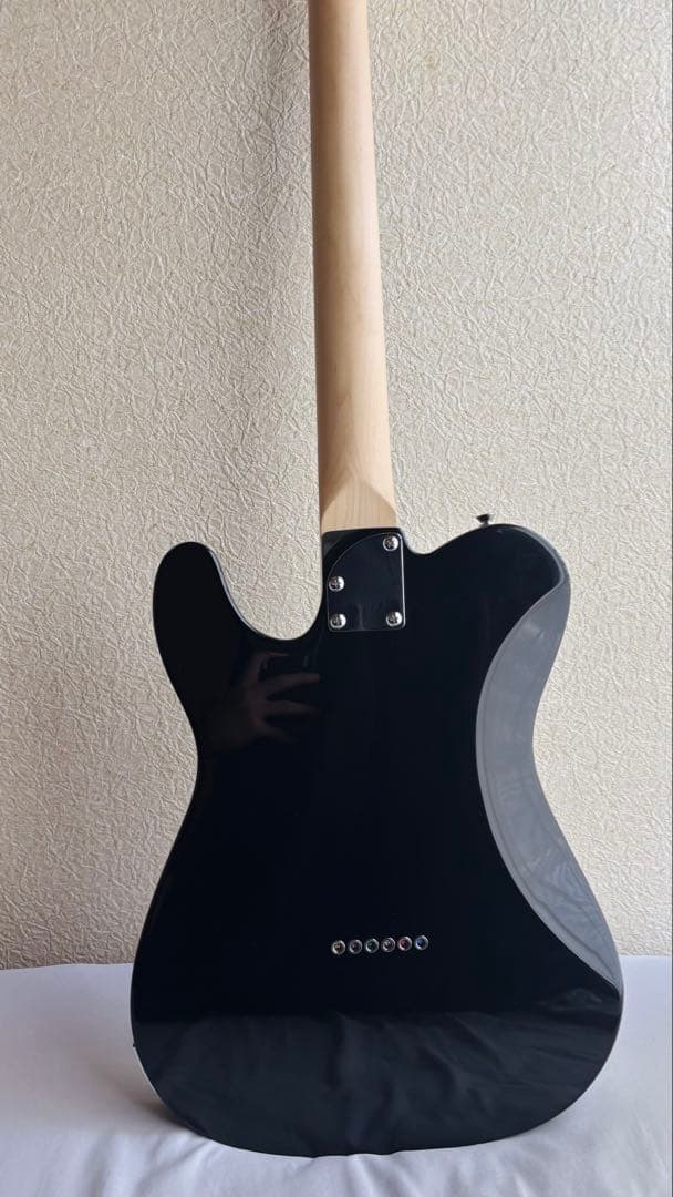 Laid Back テレキャス エレキギター LTL-5-R-SS VBK