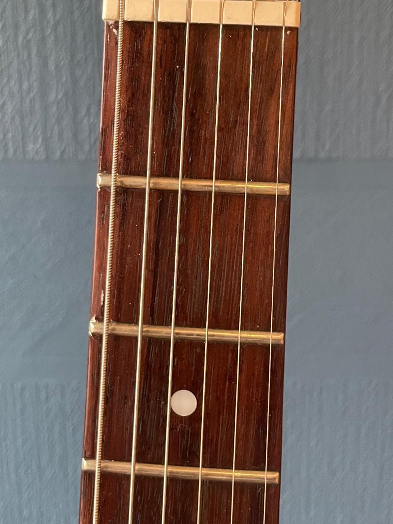 Epiphone フライングV ギターケース付き