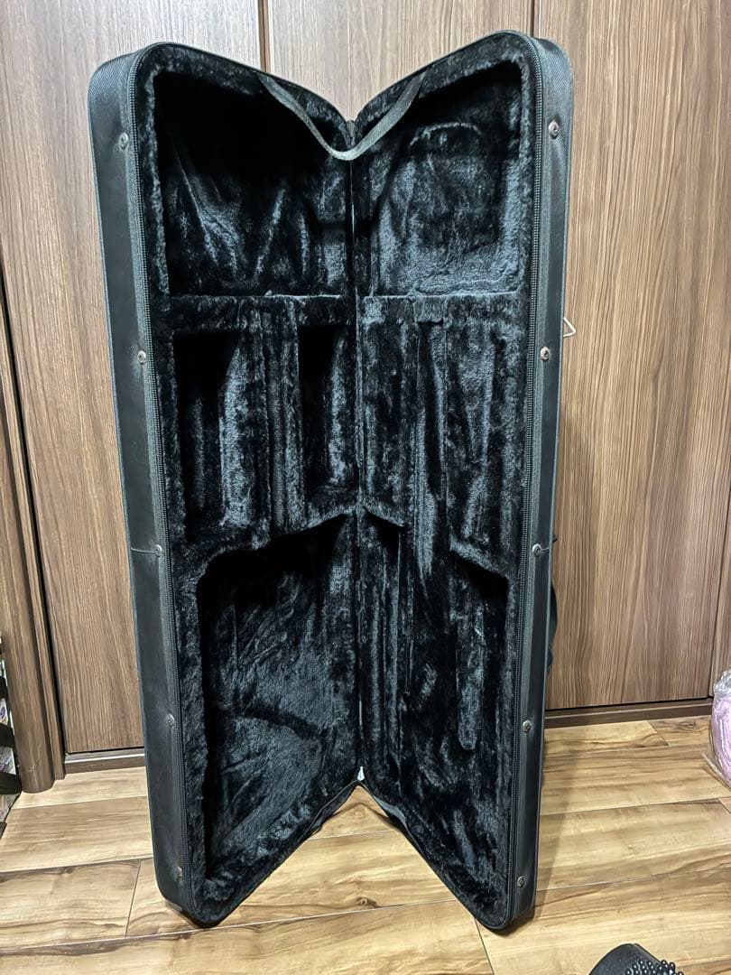 G-Life Guitars DSG Standard ギター