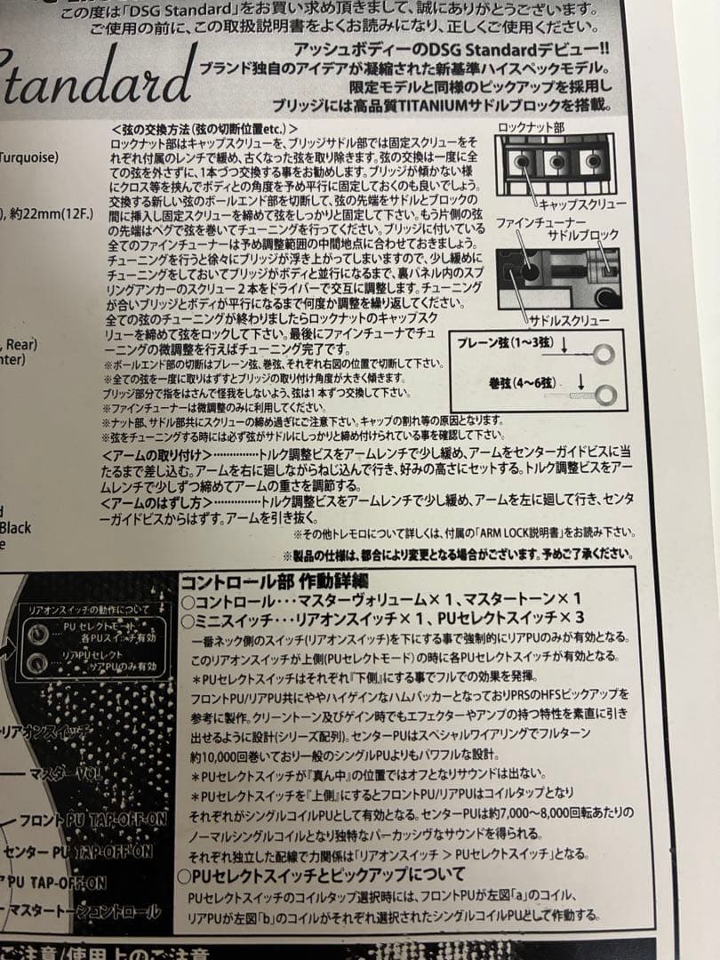 G-Life Guitars DSG Standard ギター