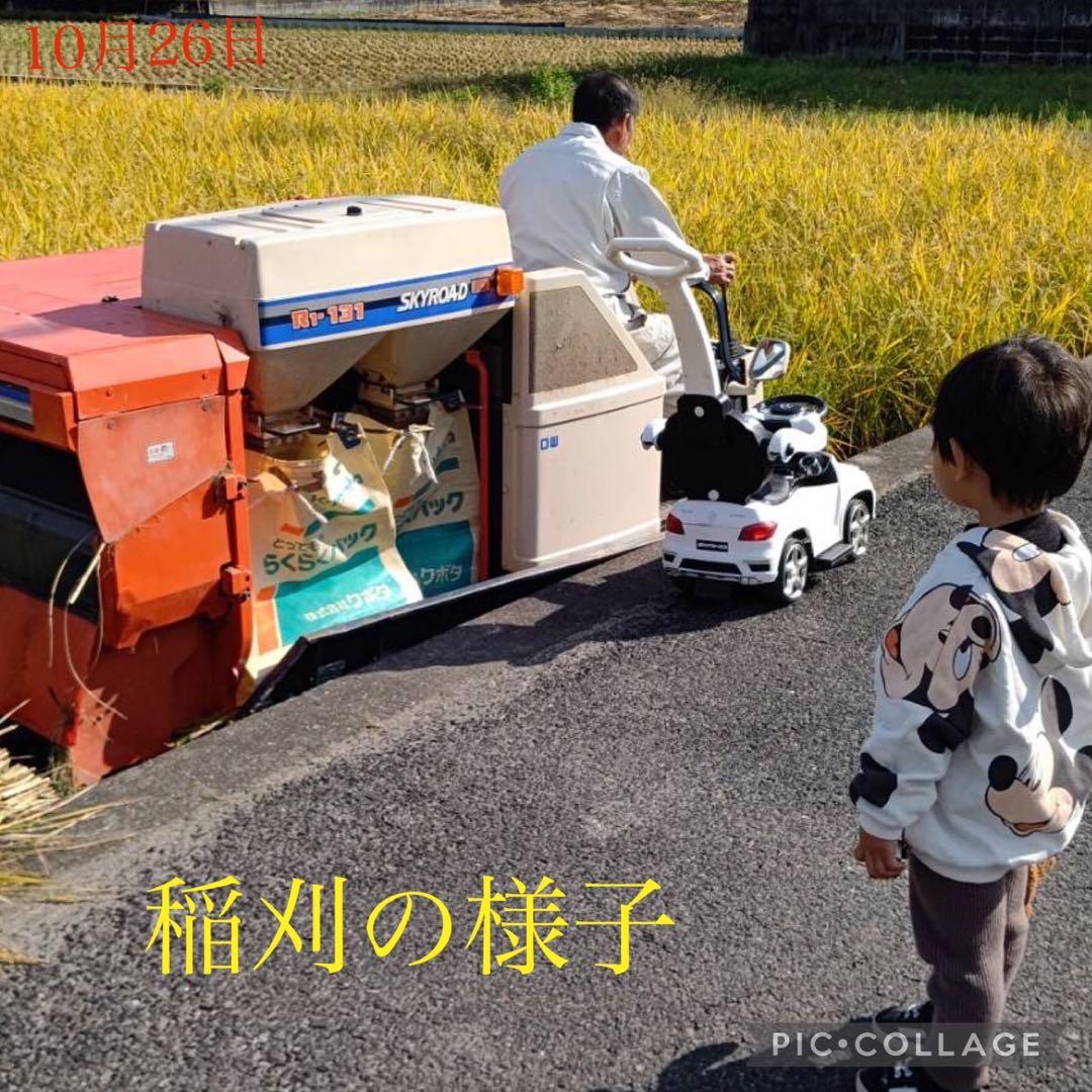 岡山県産　農薬、除草剤不使用　にこまる　玄米10㎏