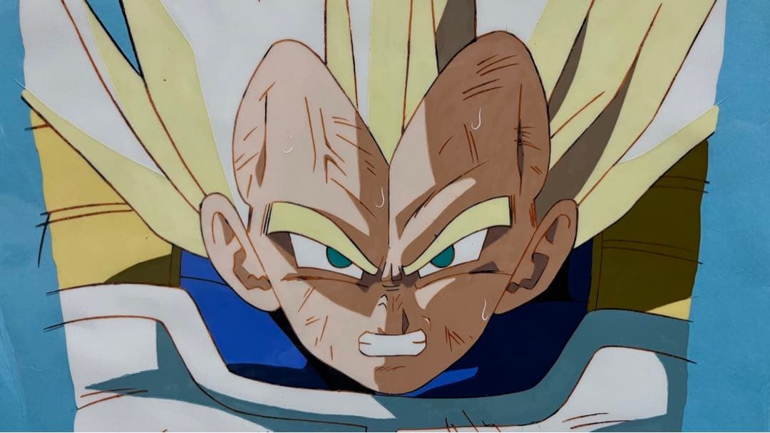 ベジータセル画 ドラゴンボール