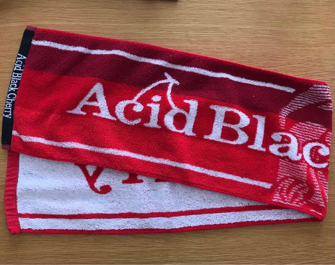 【美品、匿名配送】Acid Black Cherry ライブグッズ等13点セット