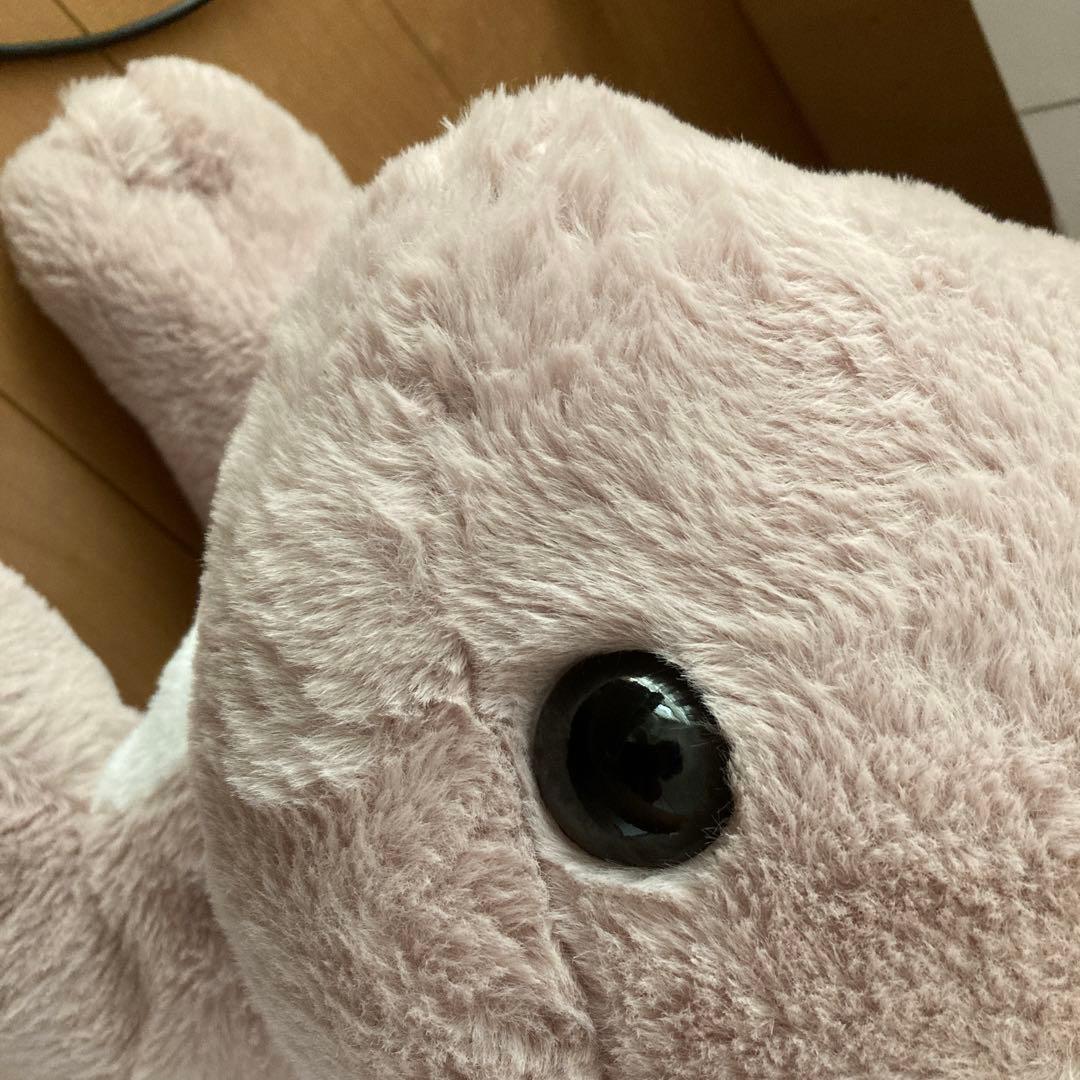 うさぎ　ぬいぐるみ