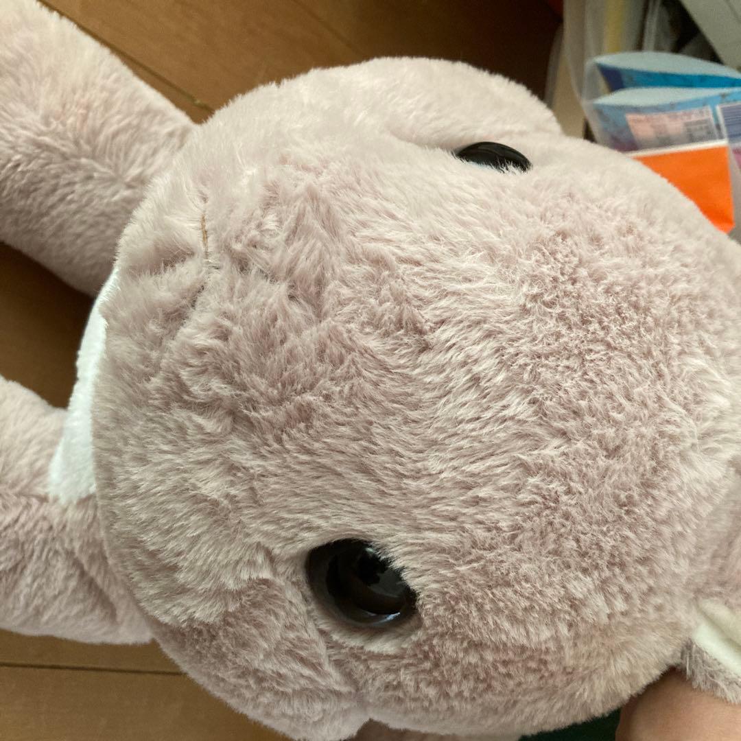 うさぎ　ぬいぐるみ