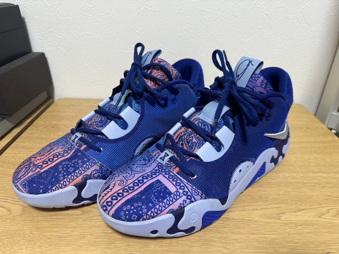 シューズ(男性用) NIKE PG6