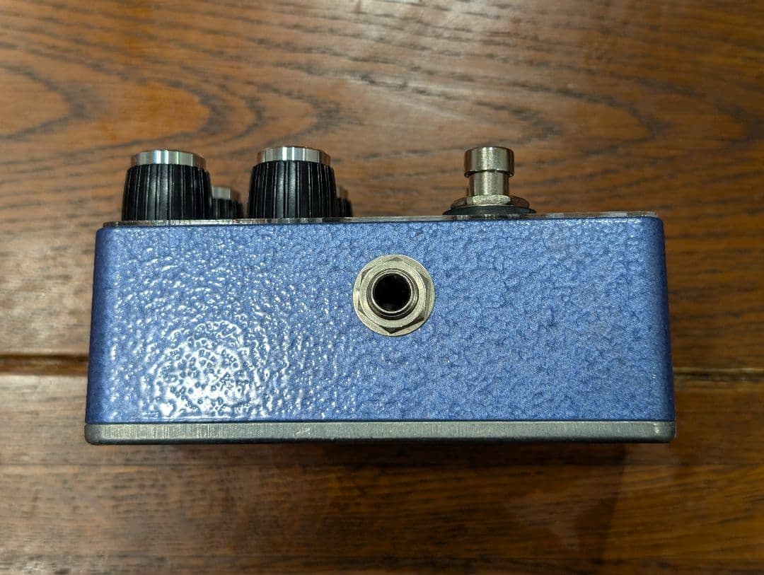 ギター Blackberry Jam Rosemary Rex