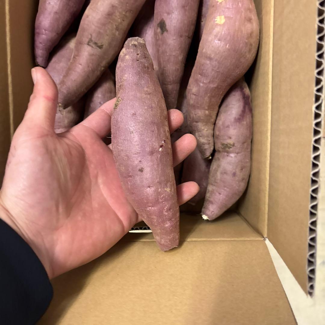 箱込み5キロ　農薬不使用　紅はるか「さつまいも」 Mサイズ