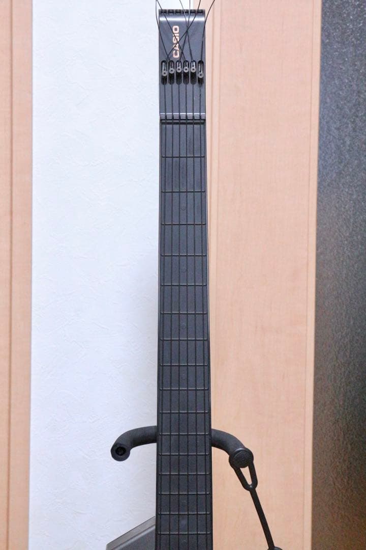 CASIO midiデジタルギター DG-20