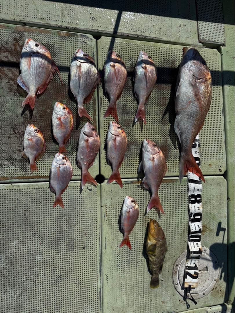 SHIMANO シマノ カルカッタ小船400（PEライン1.2号200m巻済み）