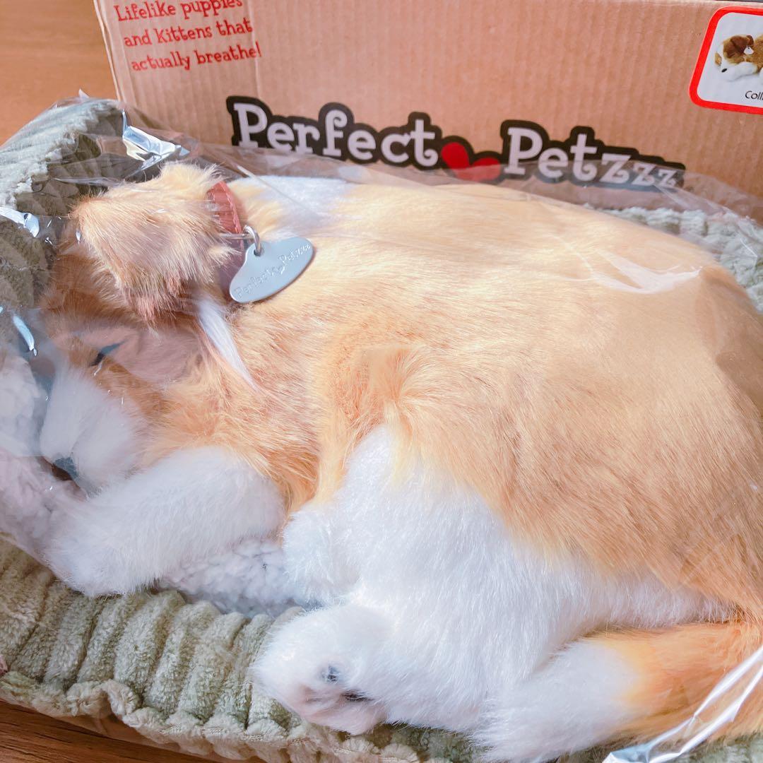 【新品】 ニニアンドキノ パーフェクトペット コリー 小型犬 リアル 動物