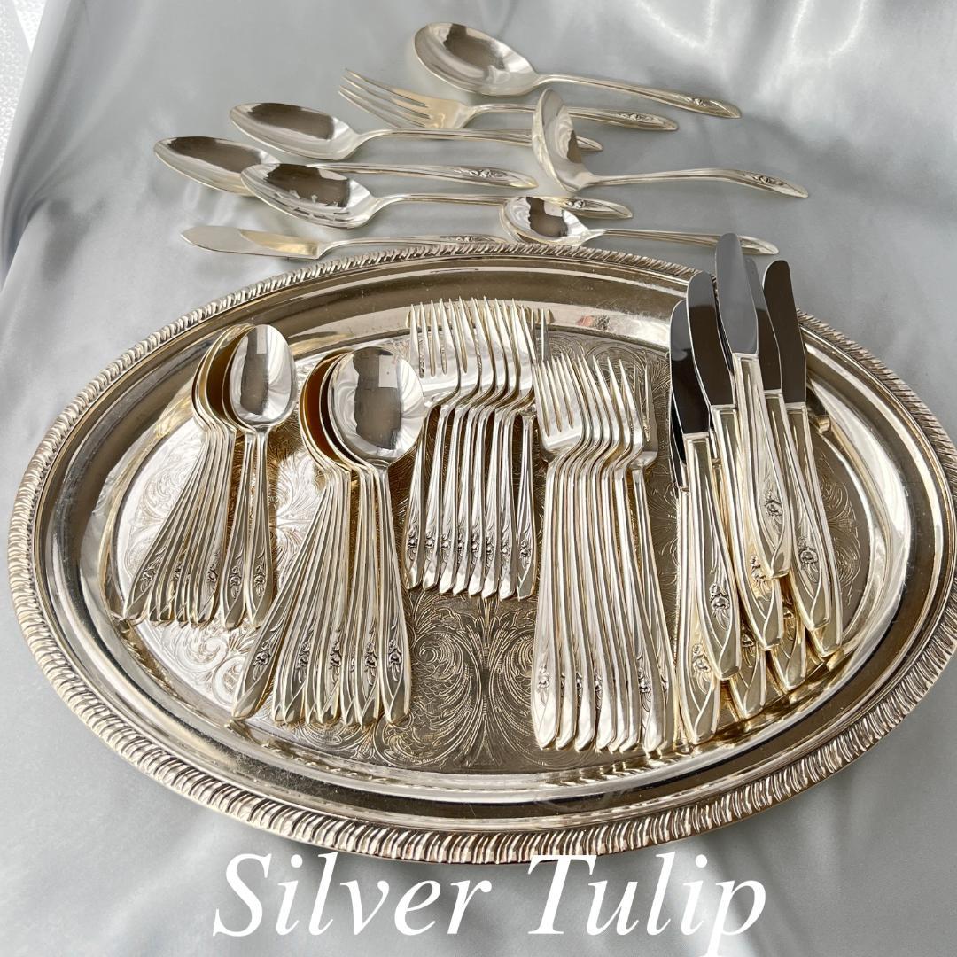 SILVER TULIP ディナーセット 8名用サーバー付き48本組