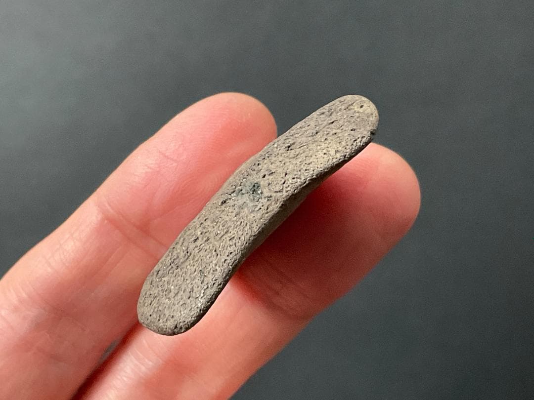 サメの歯 ホホジロザメ [GR228] 化石 希少 レア