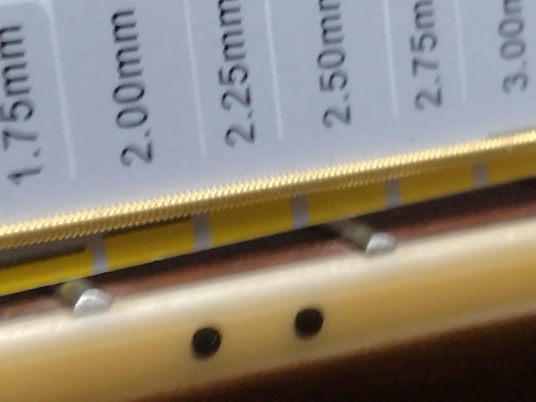 ギター Crescent CA-D-50NL