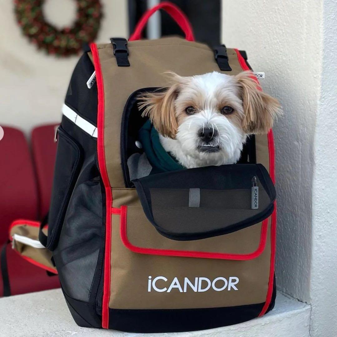 iCANDORのバッグJIGE キャリーバッグ