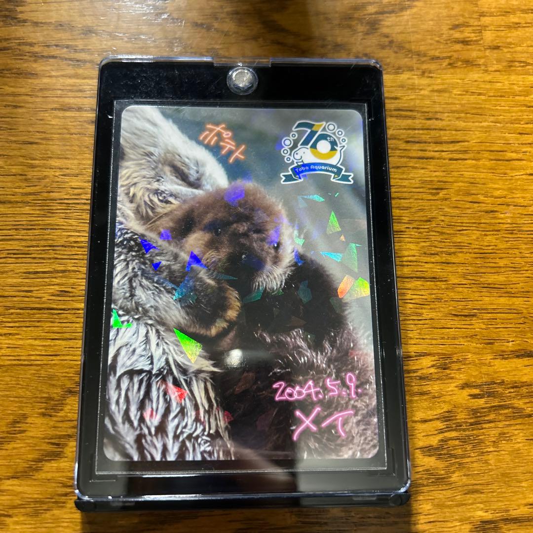 鳥羽水族館 コレクションカード メイ レアカード