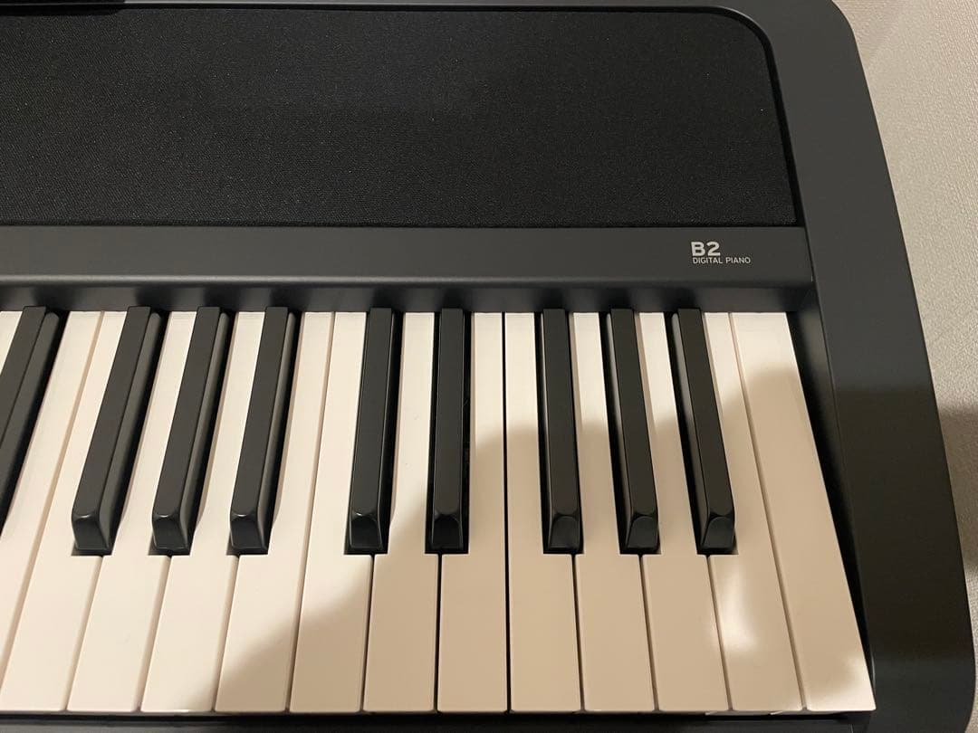 KORG B2 デジタルピアノ 88鍵盤【本体】