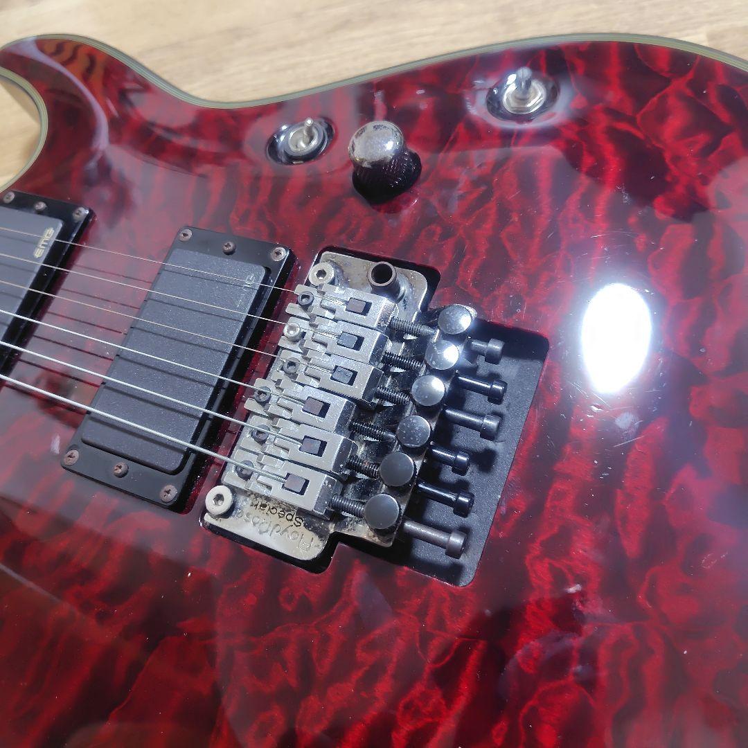 シェクター SCHECTER DAMIEN ELITE-6 FR