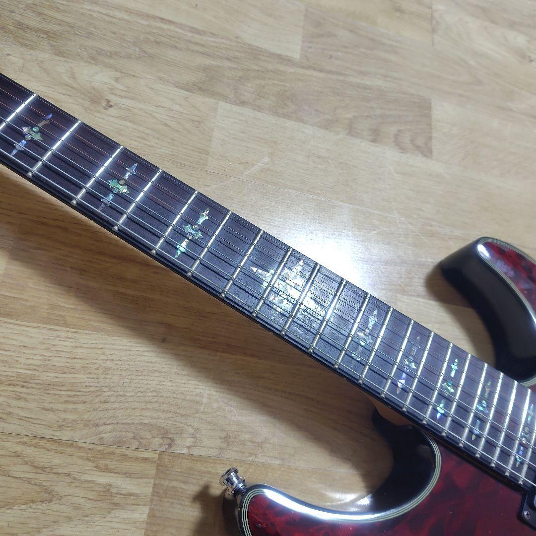 シェクター SCHECTER DAMIEN ELITE-6 FR