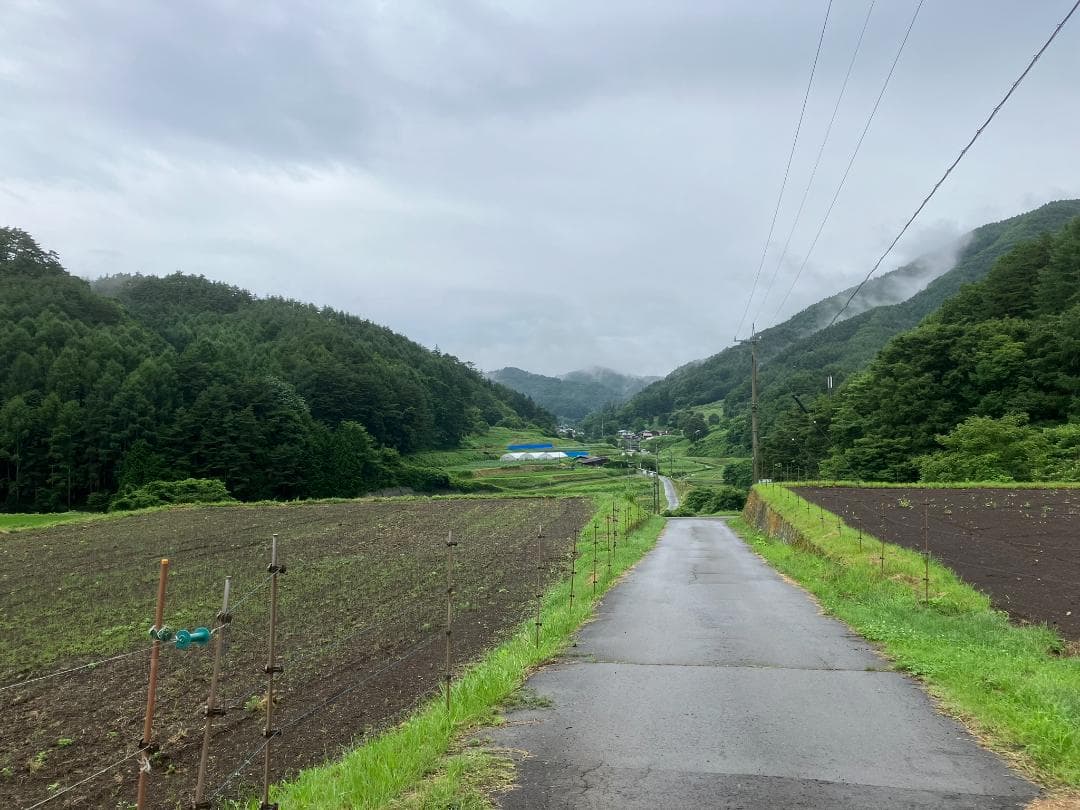 【令7】百花蜜 1000g 2本 長野県産 国産蜂蜜 生はちみつ 西洋蜜蜂z