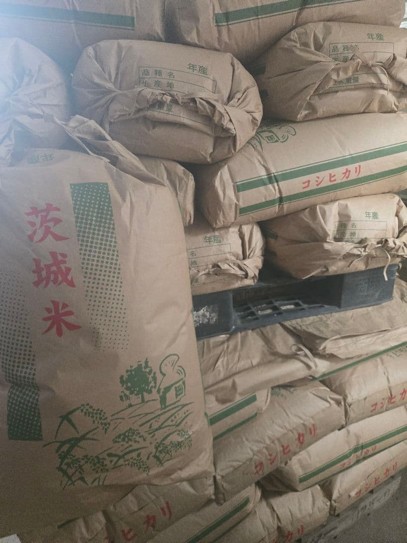 令和7年度　茨城県産　コシヒカリ　玄米30