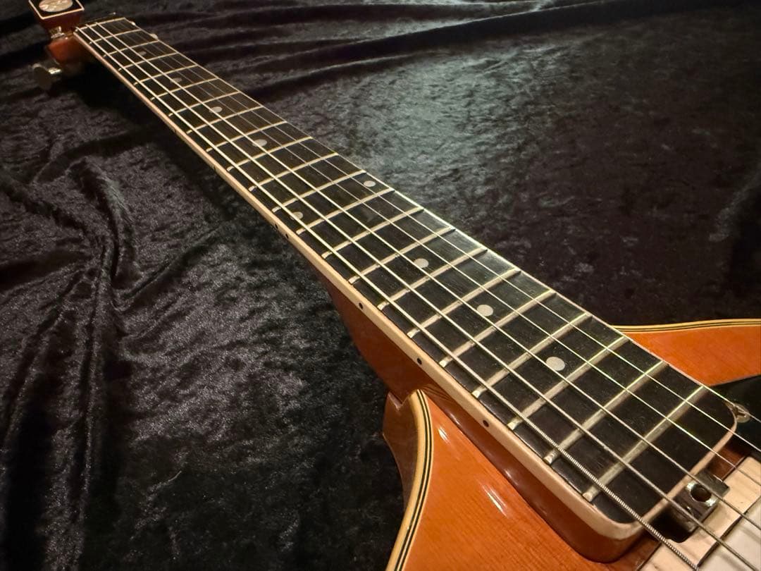 EKO Model395 エレキギター フルアコ ヴァイオリンギター　ビザール