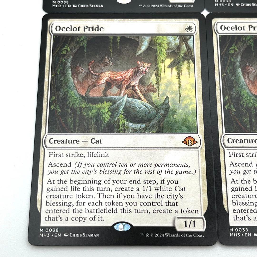 オセロットの群れ　4枚セット　英語　MTG