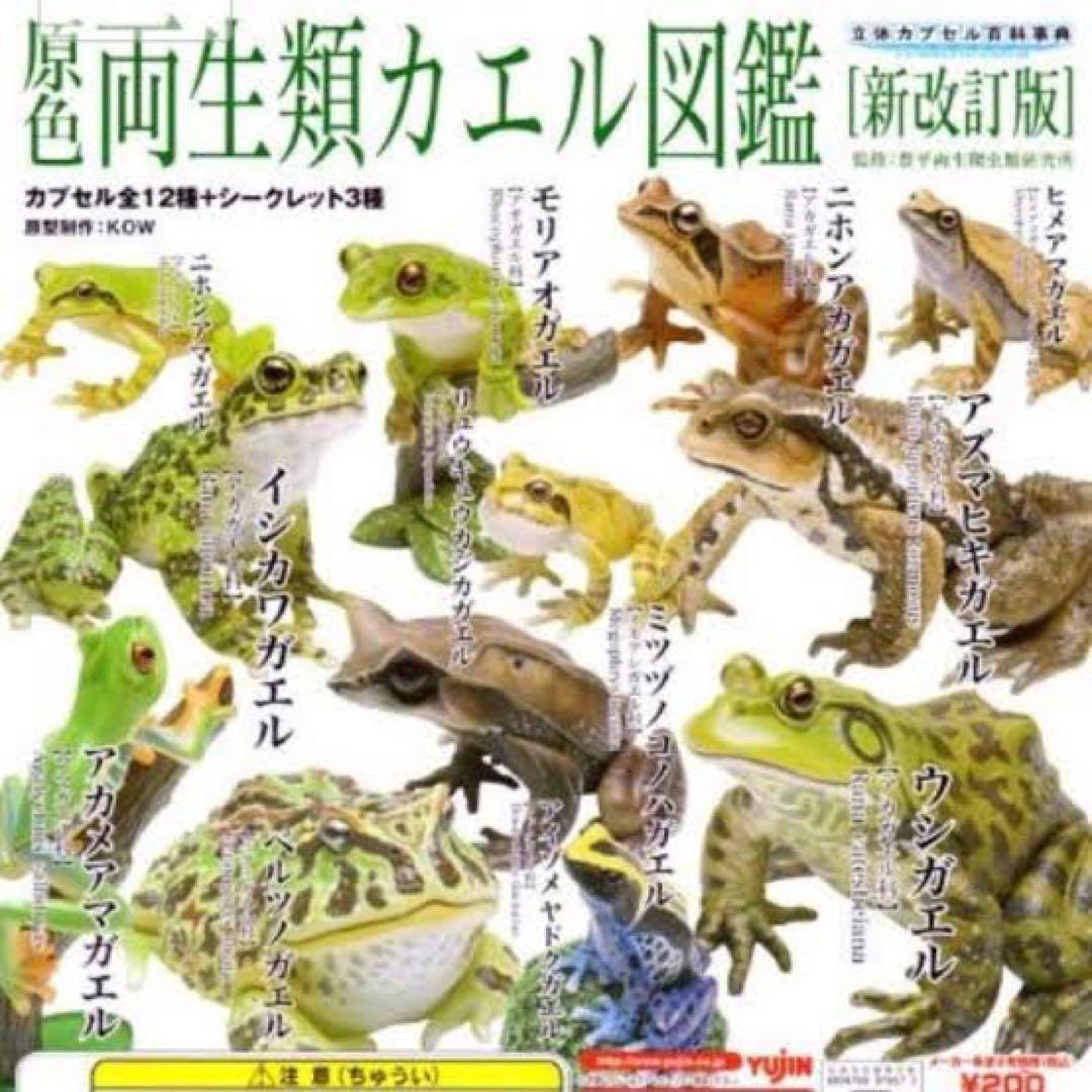 原色両生類カエル図鑑 [新改訂版]