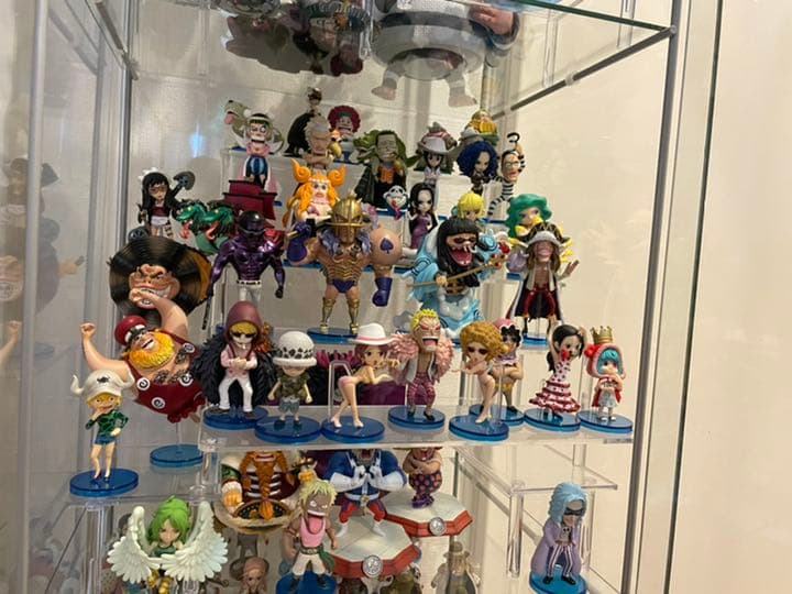 ワンピース　ワーコレ　九蛇海賊団+ バロックワークス+ドフラミンゴファミリー