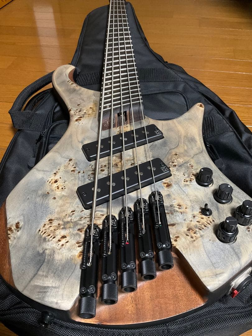 ベース IBANEZ / EHB1505MS-BIF