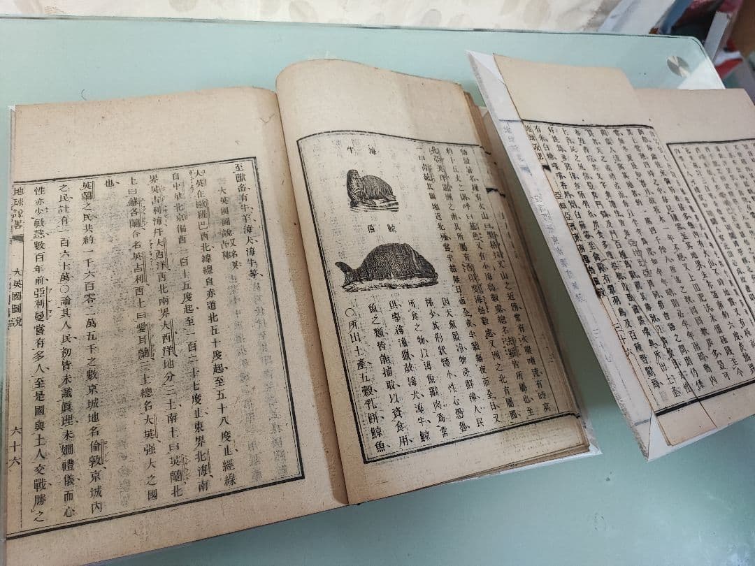 津山藩の蘭学者・箕作阮甫、地球説略