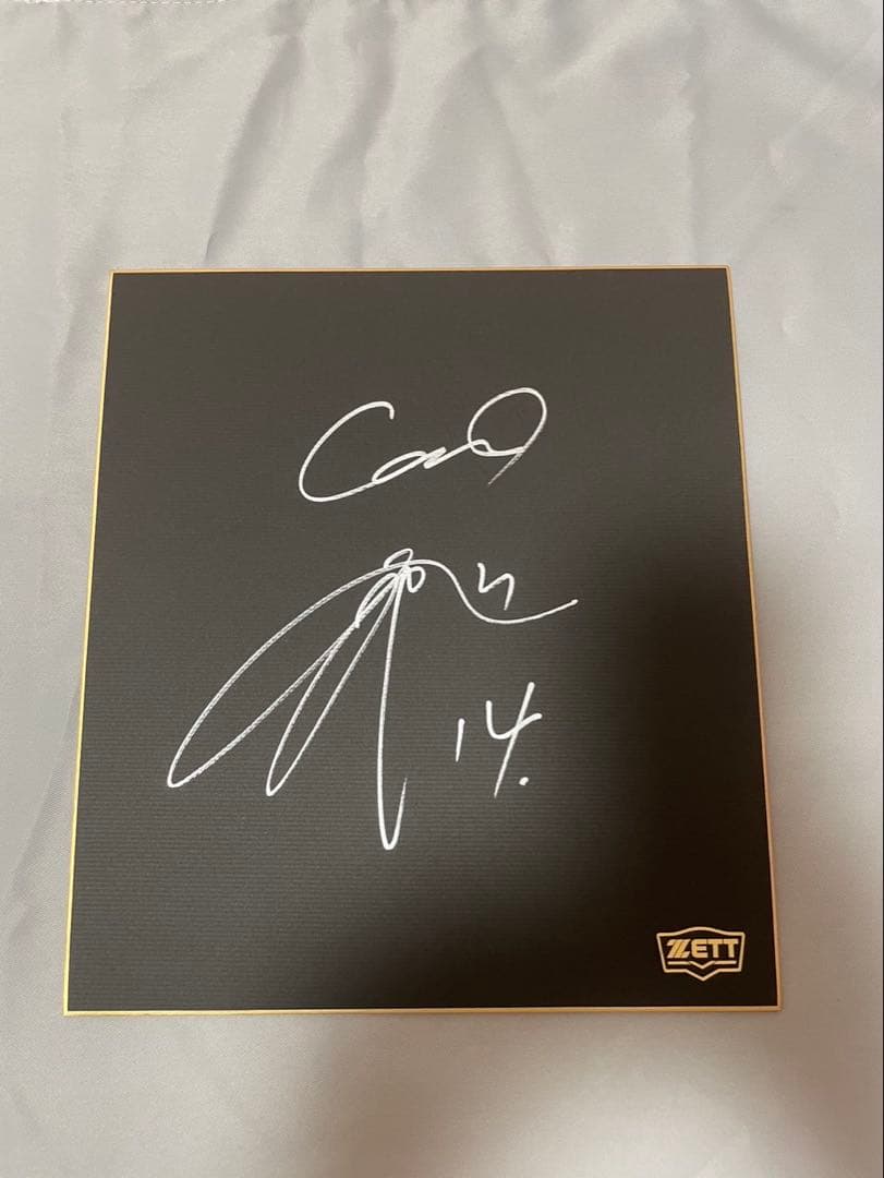 【超貴重】大瀬良大地サイン入りグローブ　サイン色紙付　おむらんちゃん　限定品