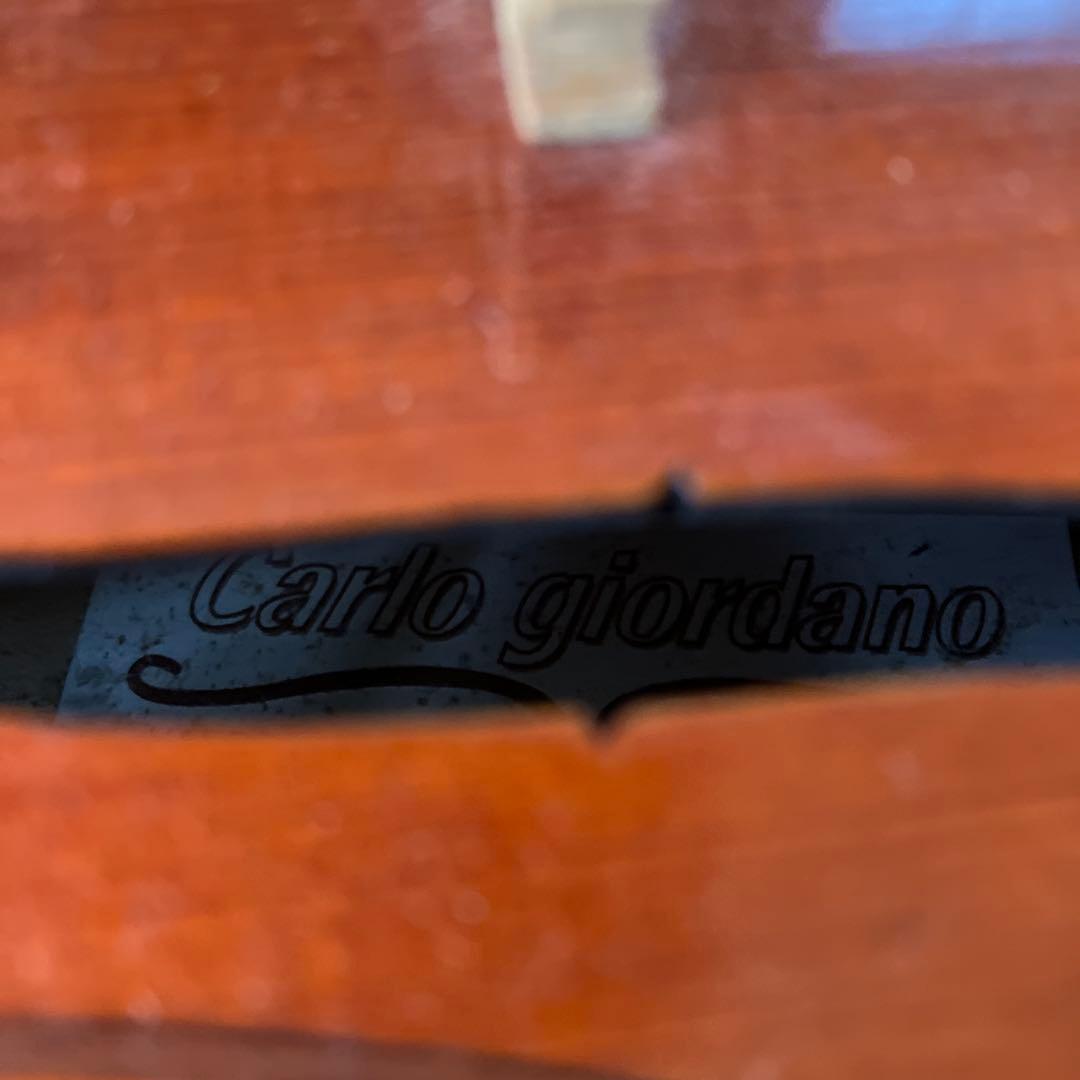 カルロジョルダーノ VS-3　フレット バイオリン4/4 虎目一枚板 一式セット
