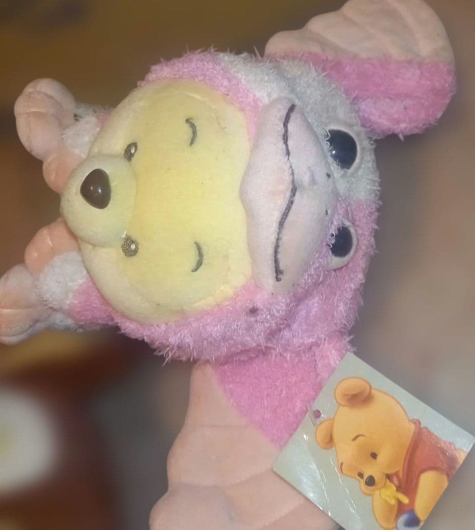 激レア★Disney ★BABYプー✖️グレムリン★ギズモ★コラボ着ぐるみセット