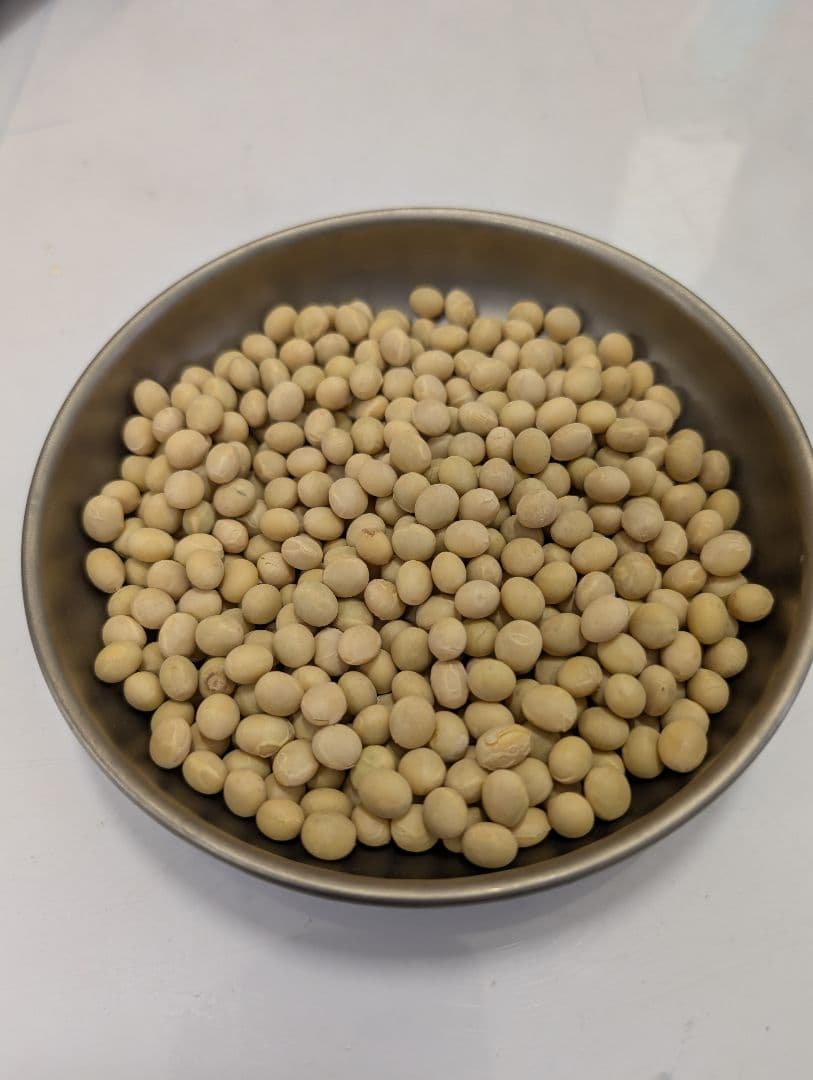 令和5年産　長野県産　ナカセンナリ　大豆 30kg　中粒1等