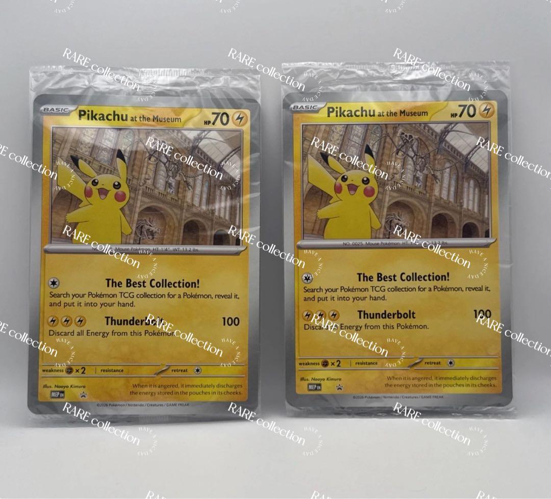 2枚Pikachu at the Museum ピカチュウ ロンドン自然史博物館