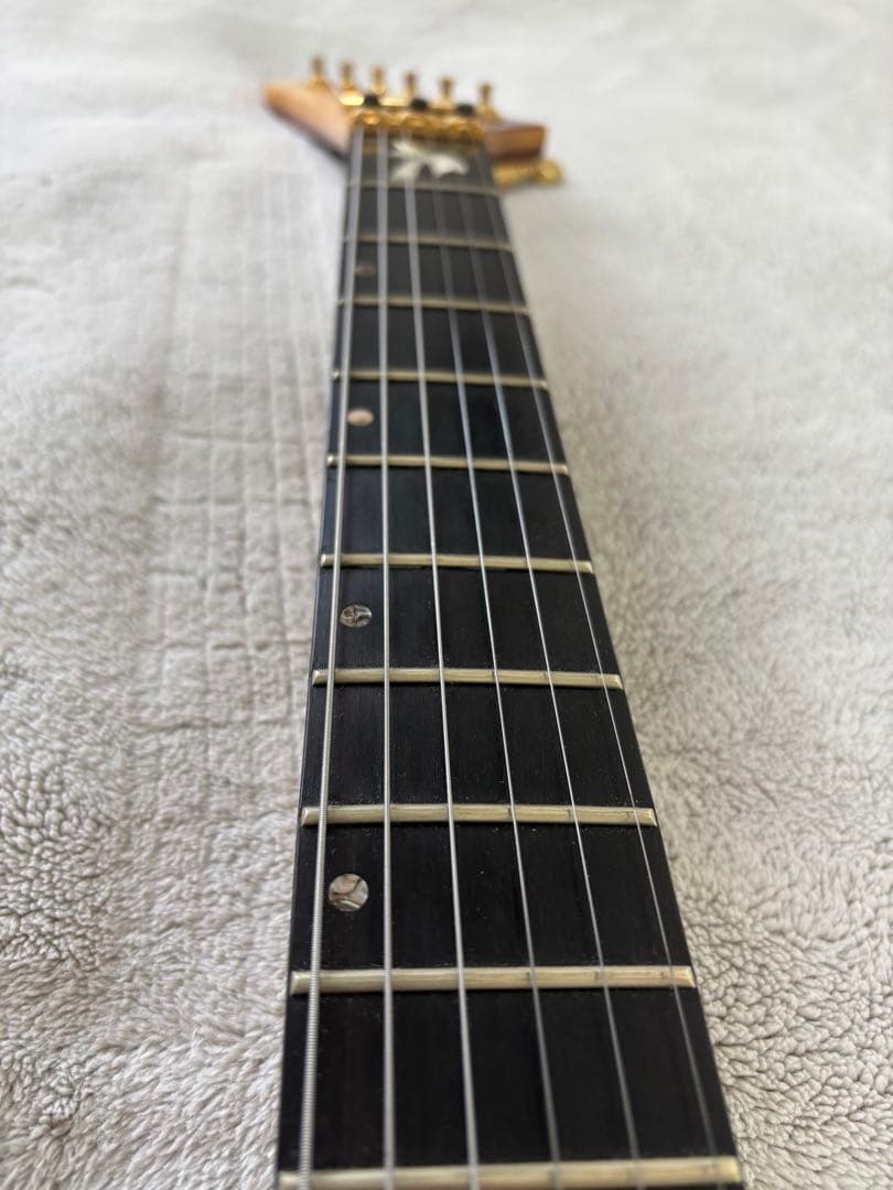 PARM BAY分厚いフレイムメイプルのギター