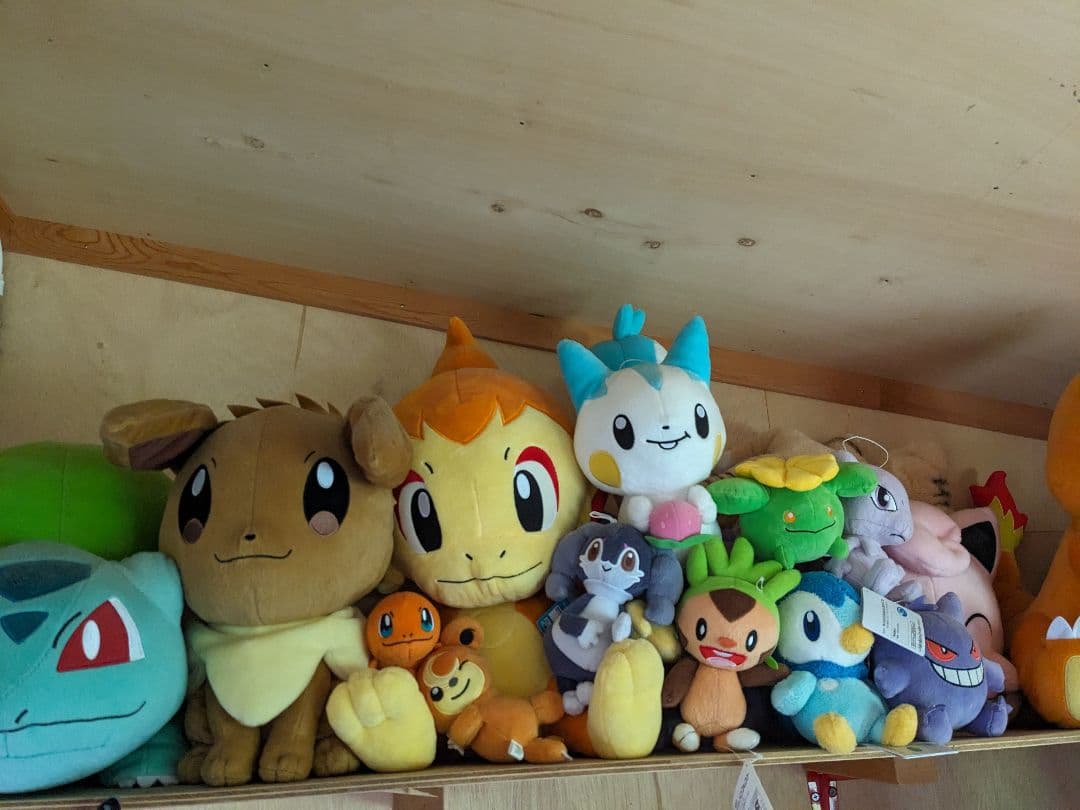 ポケモンぬいぐるみまとめ売り