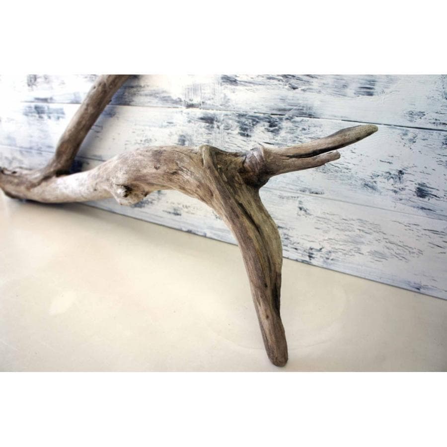 流木 ３本セット インテリア 大型サイズ オブジェ 登り木 爬虫類 送料無料