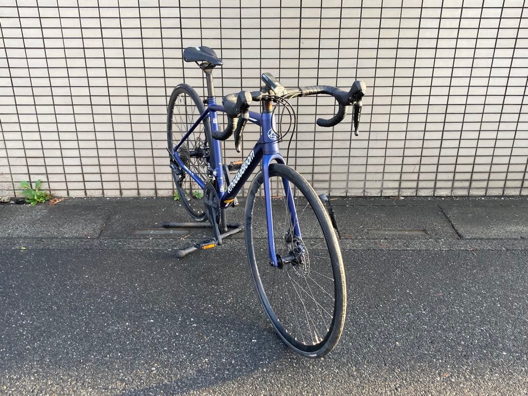 送料込 コーダーブルーム KhodaaBloom FARNA DISC 105