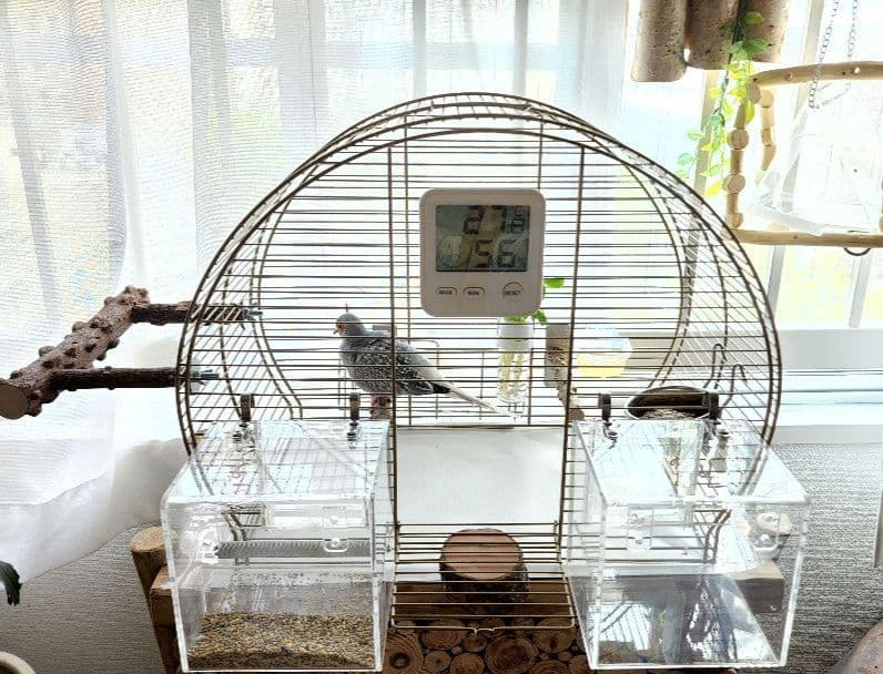 鳥かご 44.5cm x 25cm ヨーロッパ 輸入 ケージ