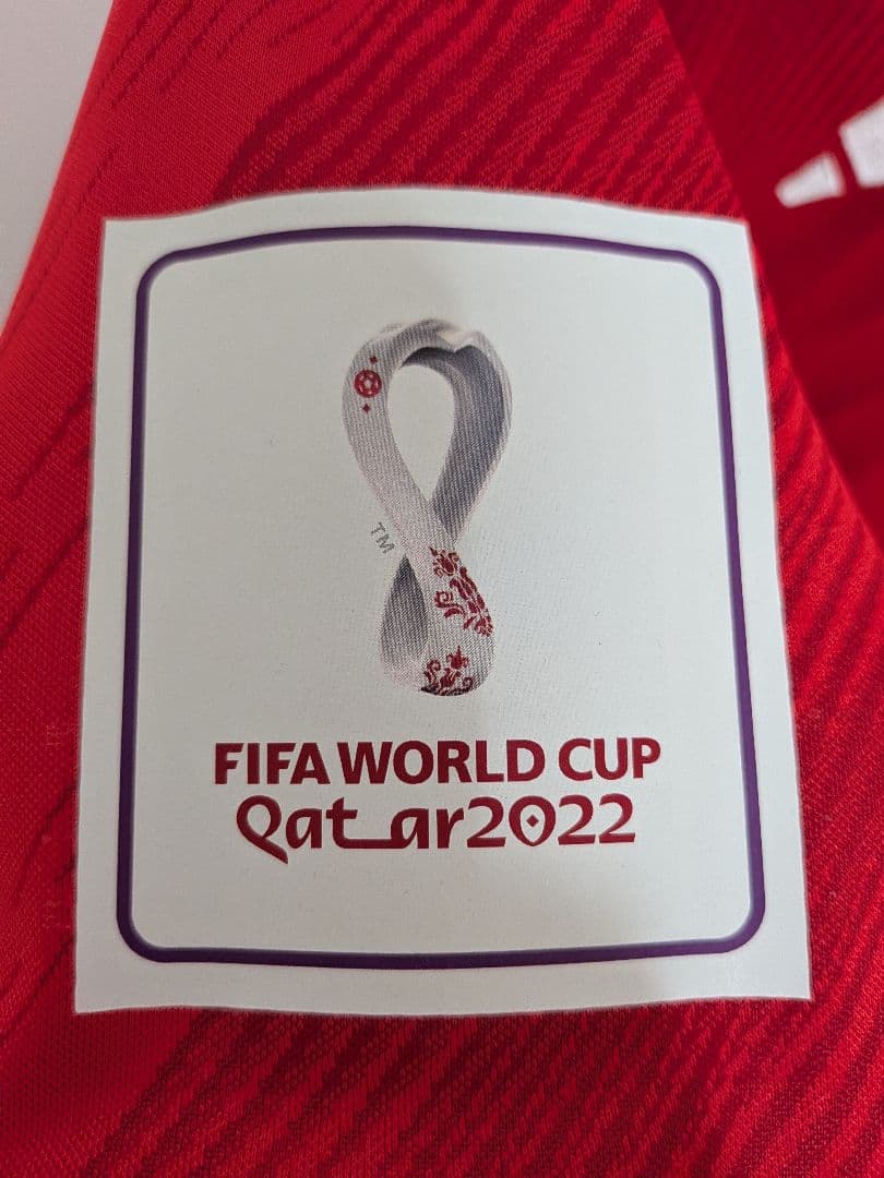 【最終値下げ】激レア正規品　ウェールズ代表　ネコ・ウィリアムズ　ユニフォーム