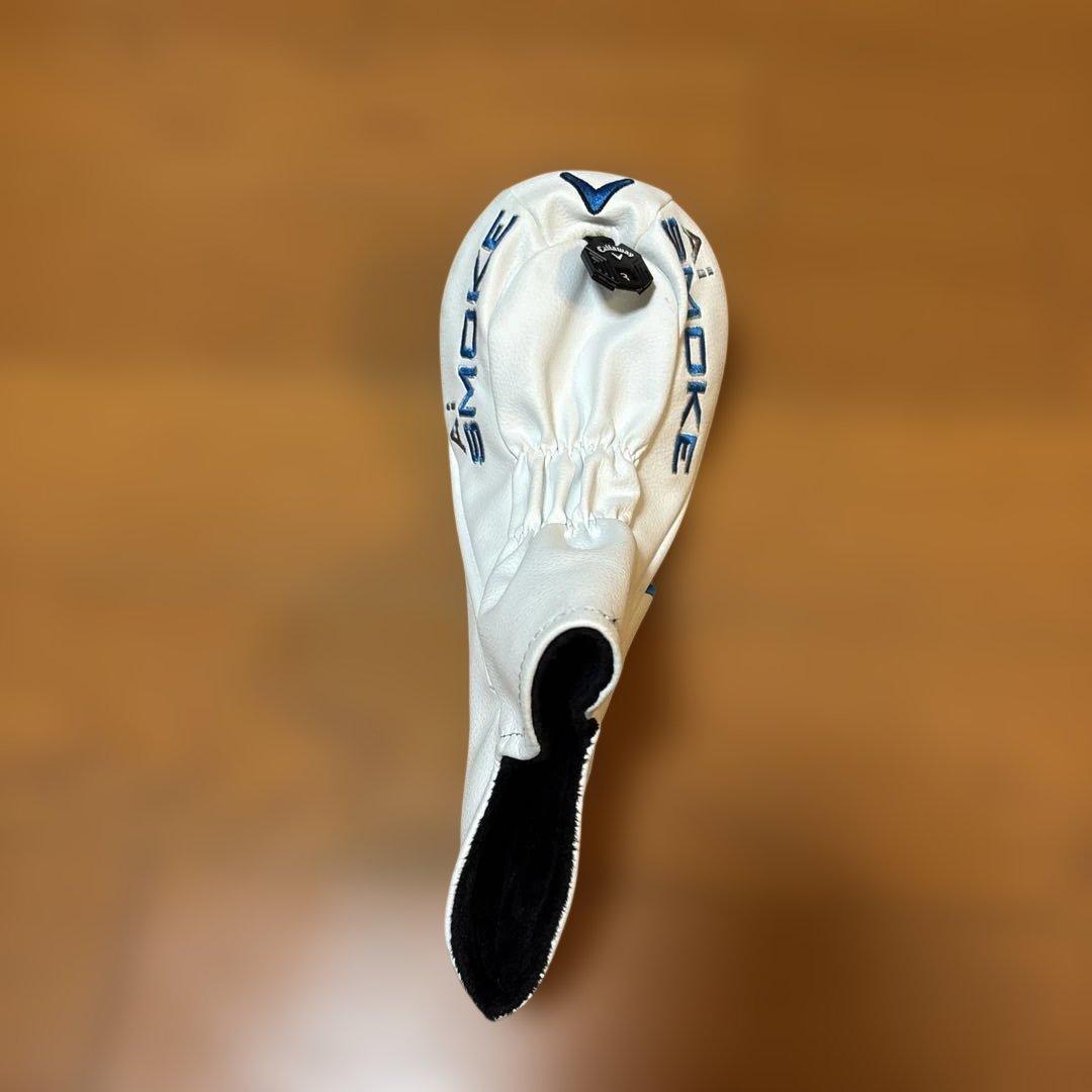 AIスモーク　トリプルダイヤ3W シンカグラファイトLOOP FW FIVE