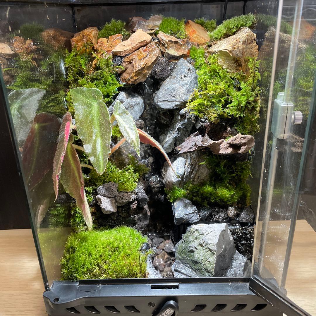 【えみゆき】大きな滝のあるアクアテラリウム