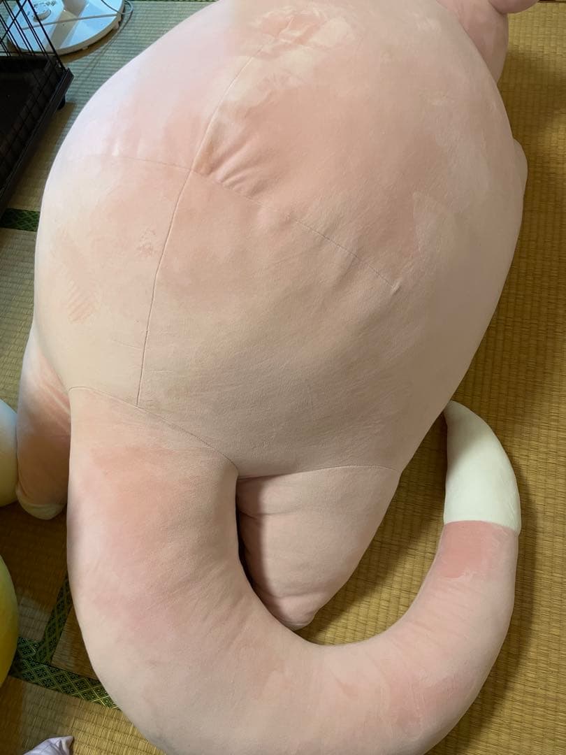 等身大ヤドン　タグ、箱付き