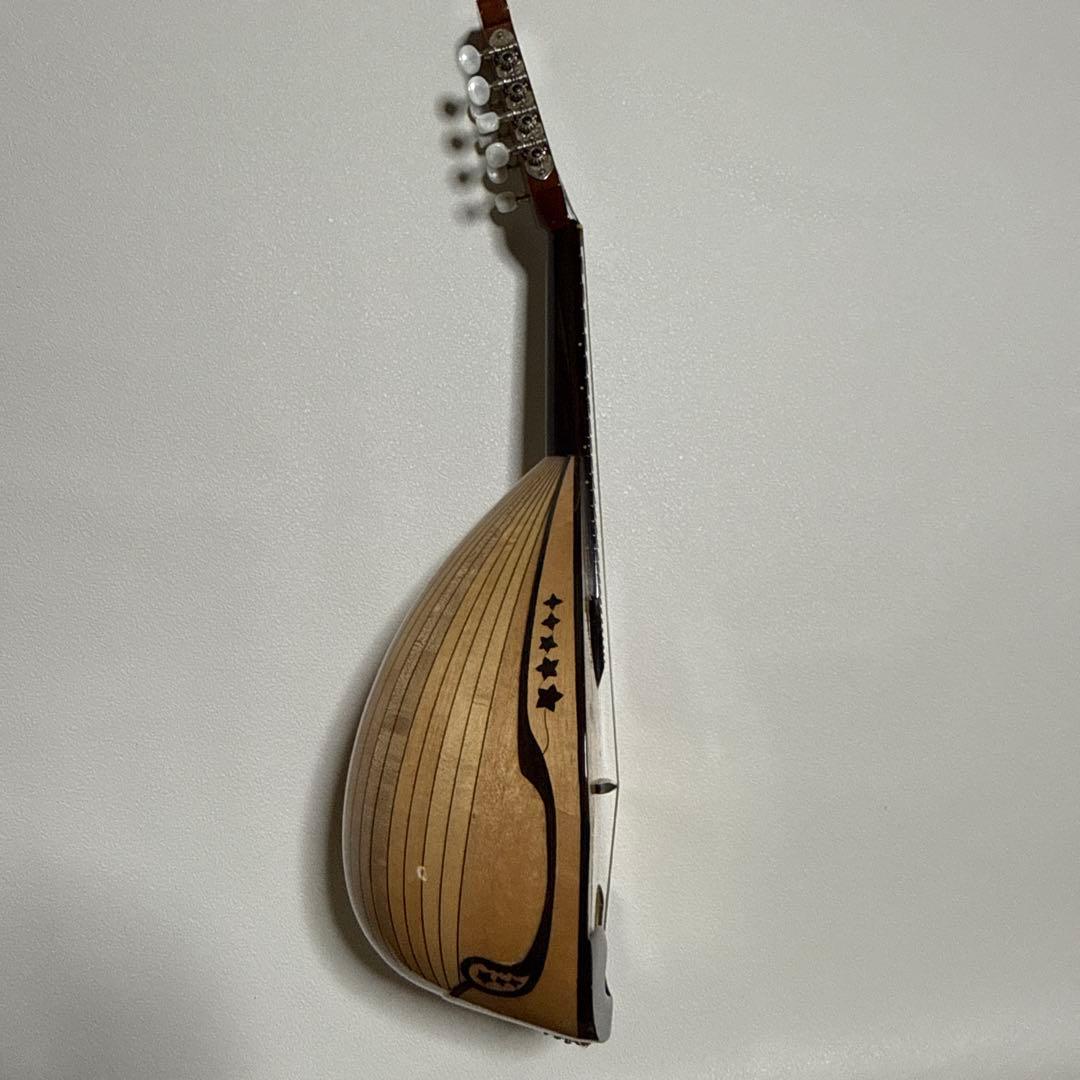 石川捷二郎監修 Venezia マンドリン M-50 ハードケース付