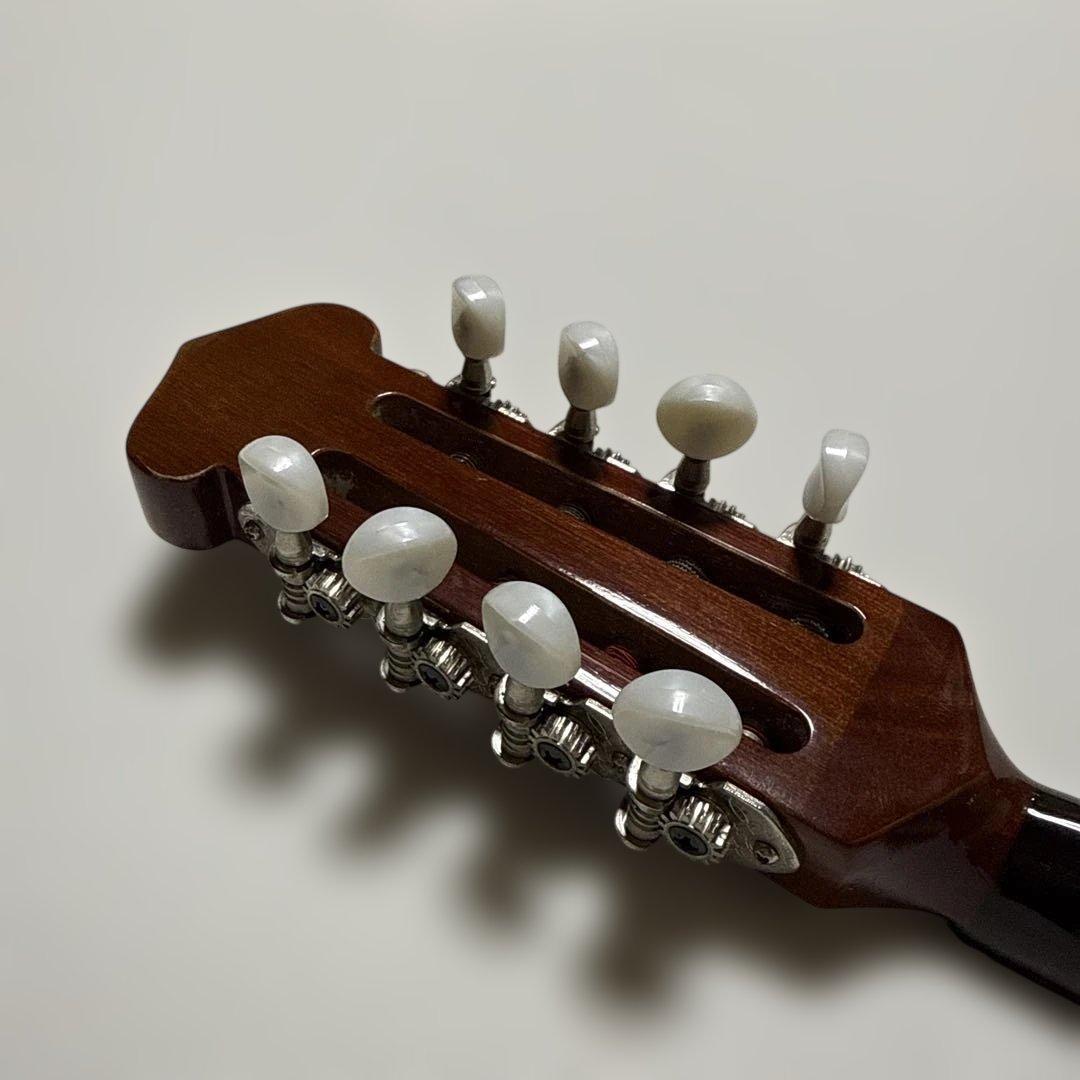 石川捷二郎監修 Venezia マンドリン M-50 ハードケース付