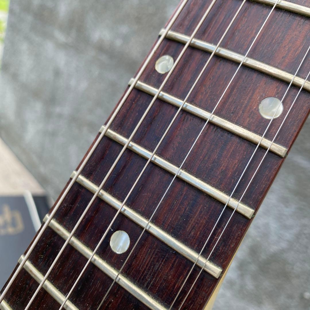 予約　　　ファイヤーバード ノンリバースTV WHITE