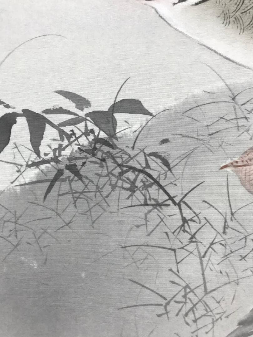 【真作】桂田湖城/月岩鴛鴦図/オシドリ図/花鳥図/掛軸/名家伝来/AC-612