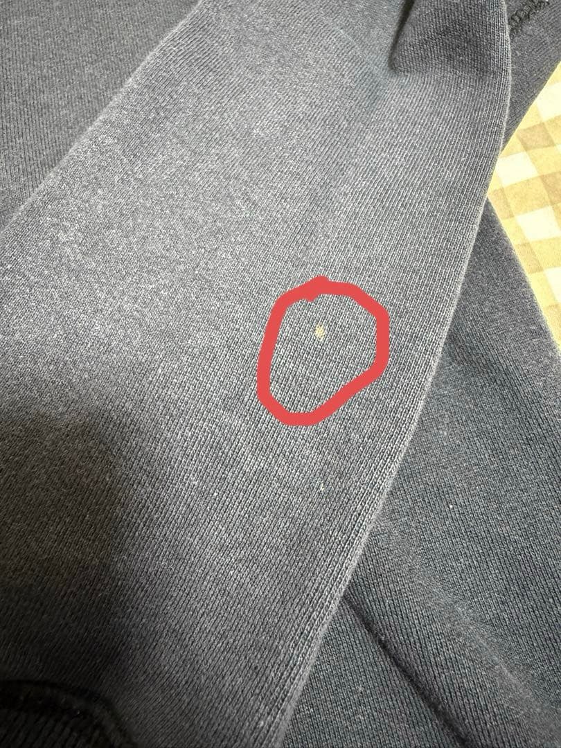 theGazettE 初期ロゴパーカー